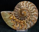 Polished Ammonite Pair With Crystal Pockets #11790-2